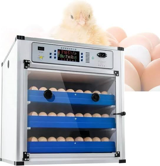 204 Egg Incubator in Kenya | Automatic Poultry Egg Hatching Machine